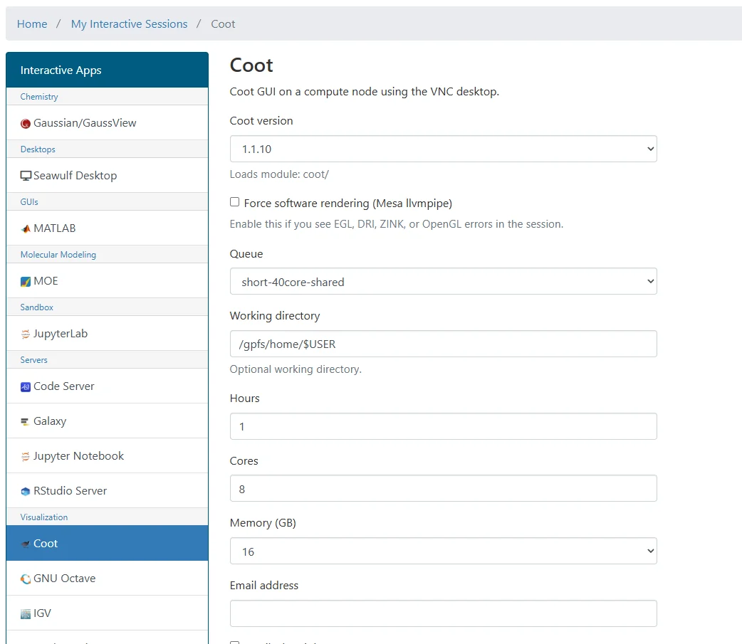 SeaWulf Coot Open OnDemand launch interface