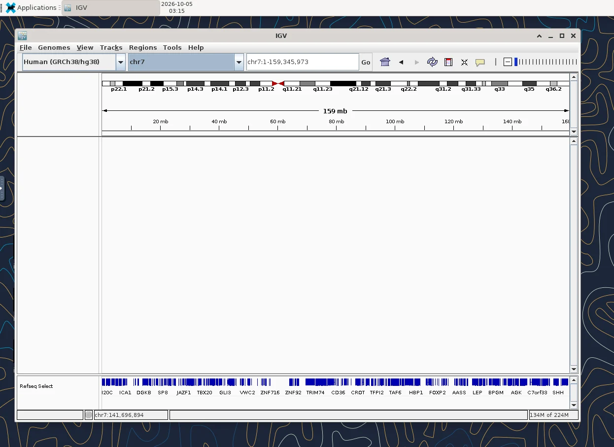 SeaWulf Integrative Genomics Viewer (IGV) graphical interface running through Open OnDemand