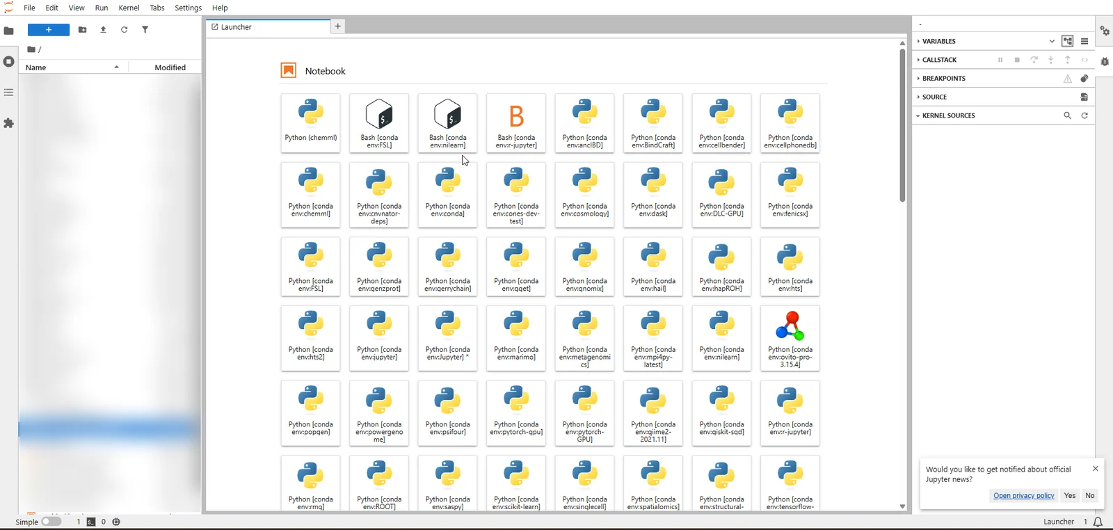 SeaWulf JupyterLab OnDemand app main interface