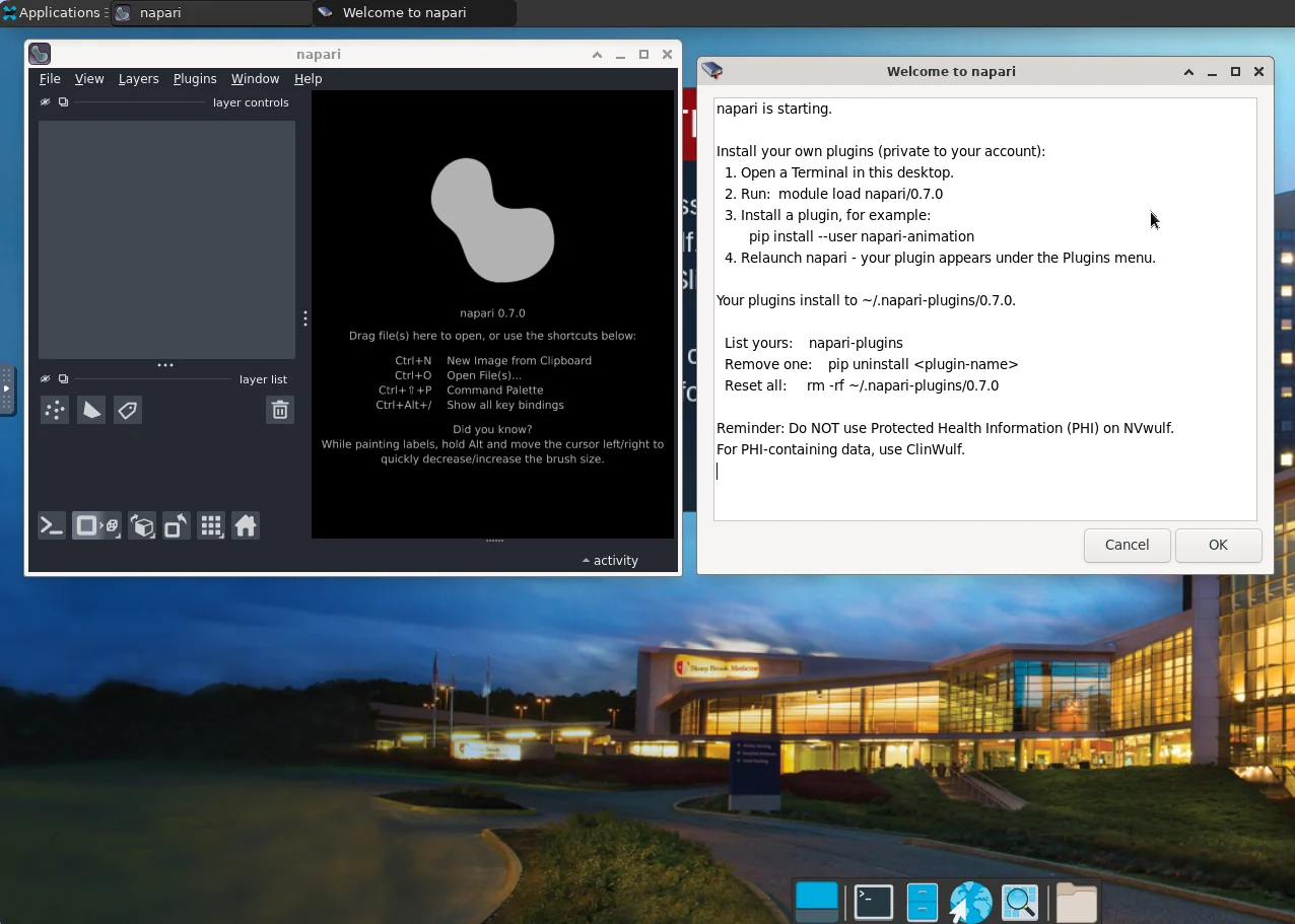 NVwulf Napari graphical interface running through Open OnDemand