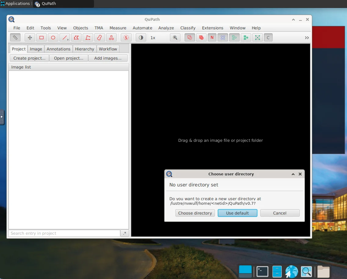 NVwulf QuPath graphical interface running through Open OnDemand