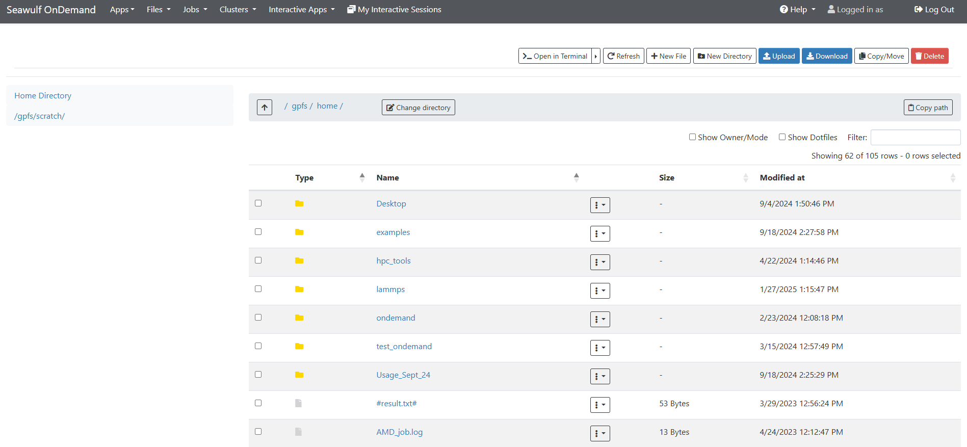 SeaWulf Open OnDemand Home Directory