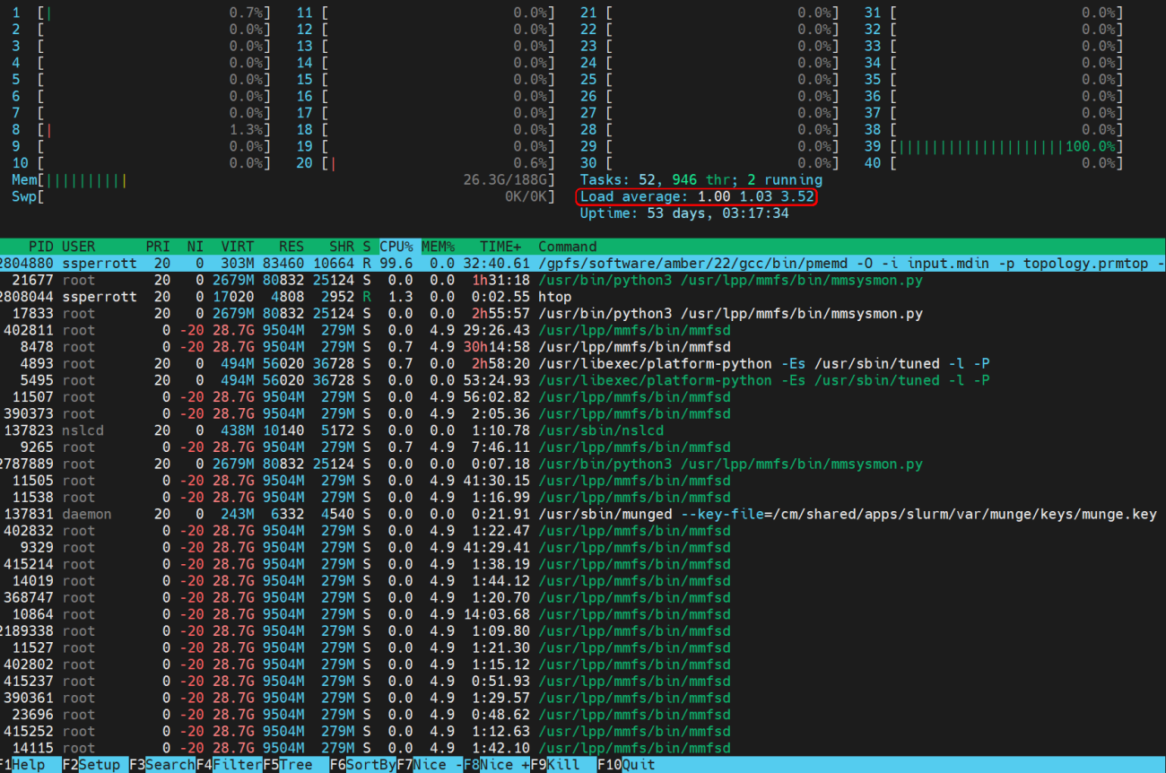 htop interface displaying CPU, memory, and process information for resource monitoring