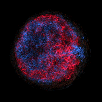 Initial velocity field animation