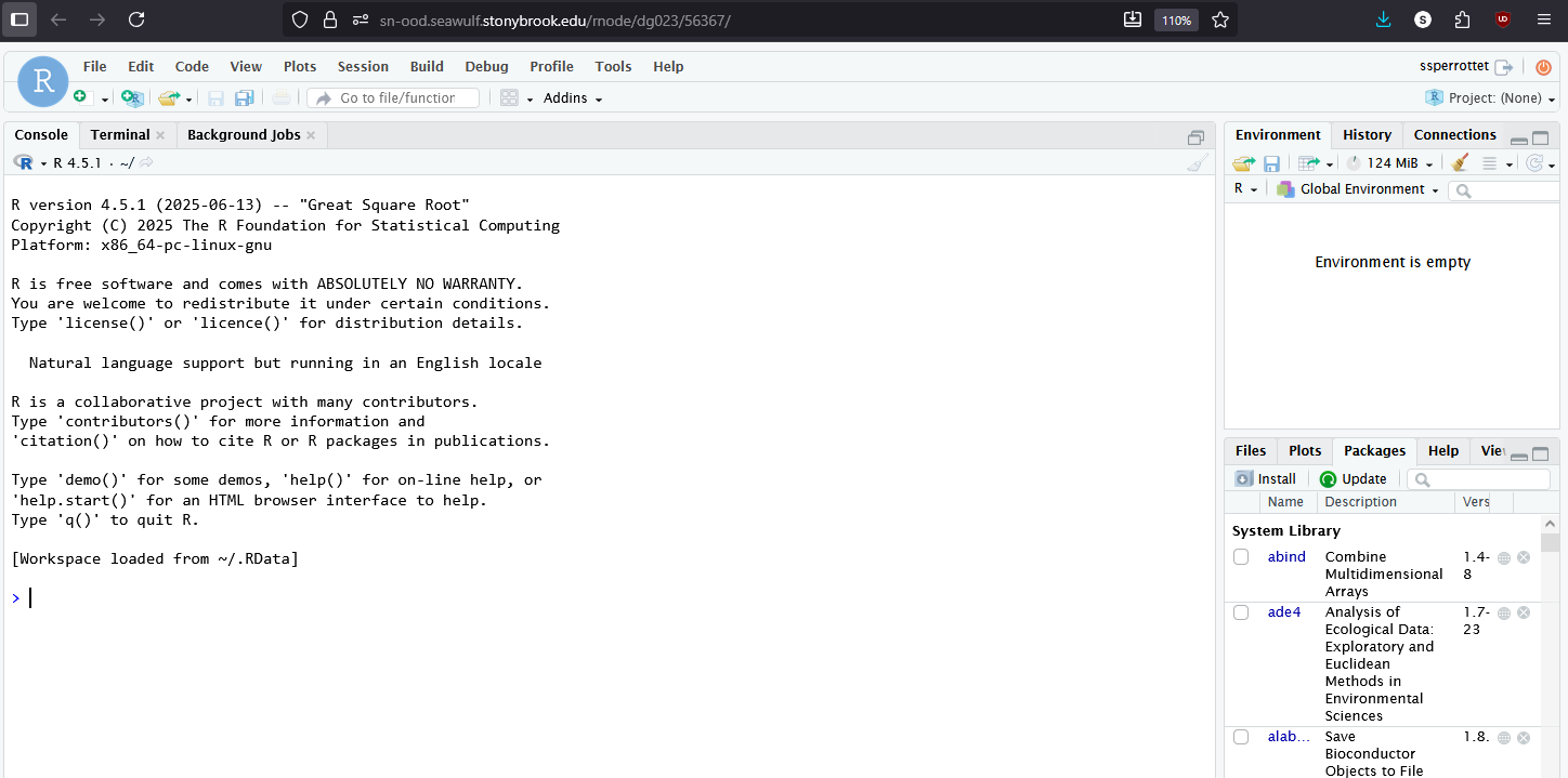 Browser-based RStudio IDE with editor pane, console, environment panel, and file browser