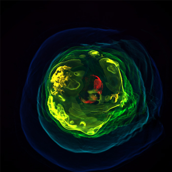 This is a plot of the density of the ejected matter