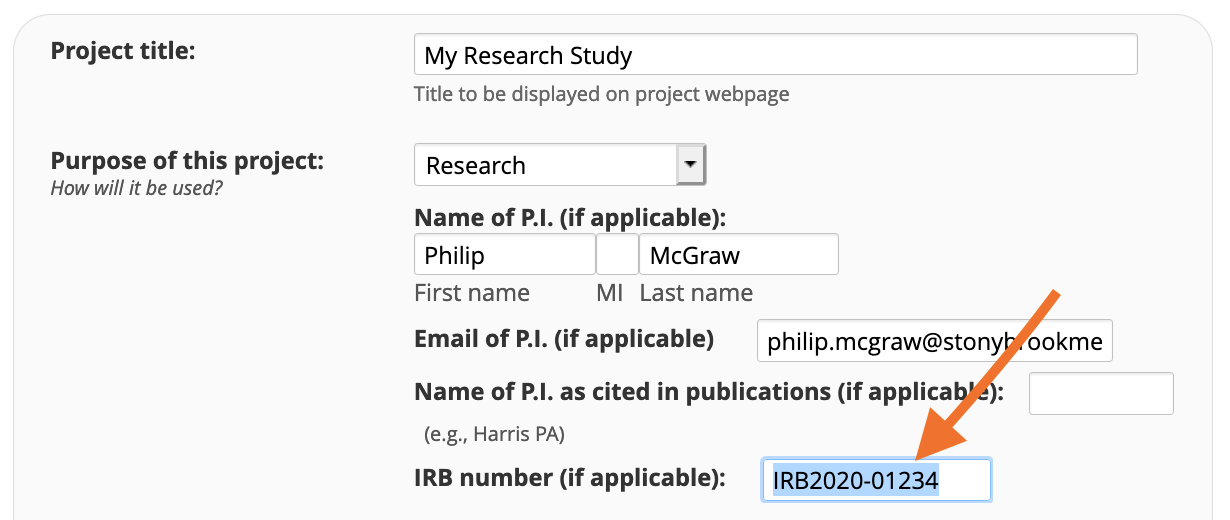 screenshot showing the irb number pane