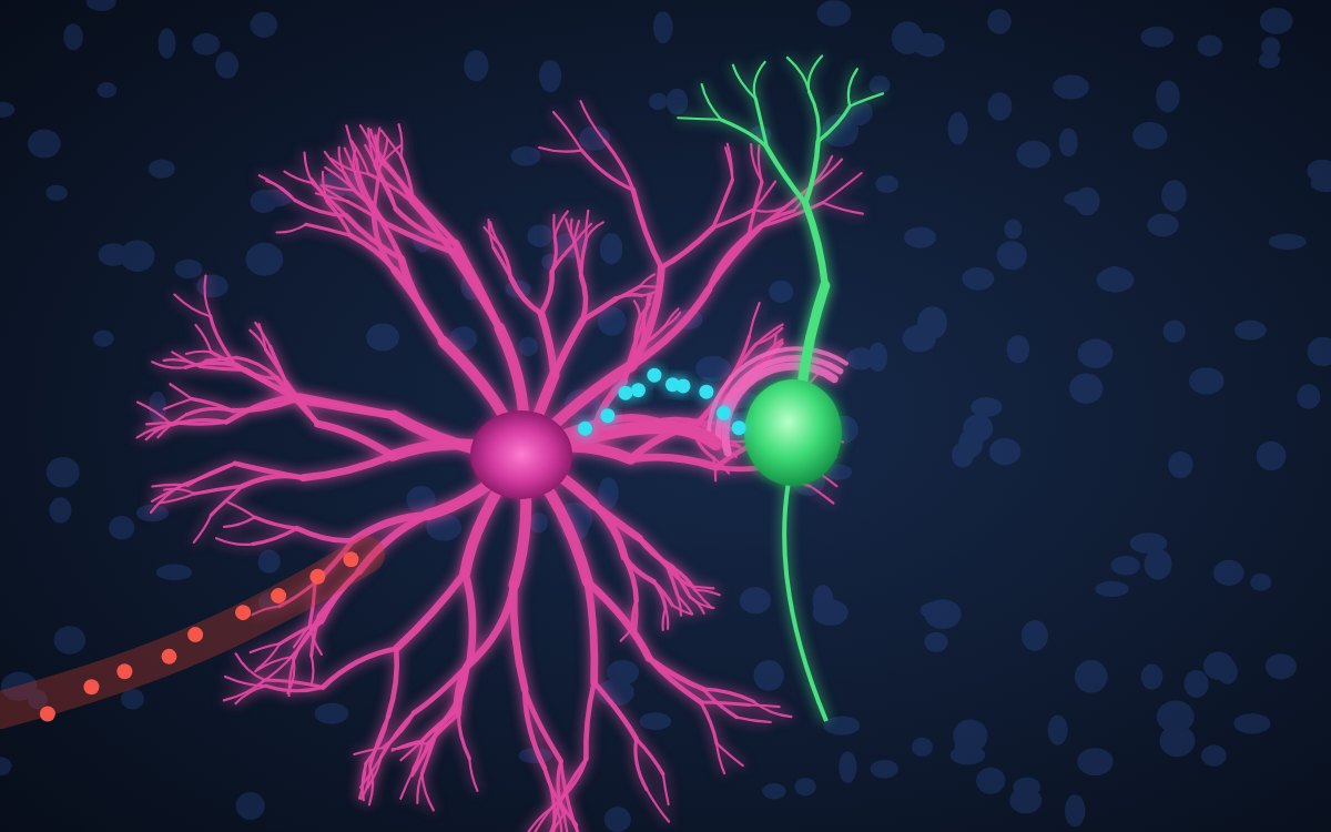 From Brain Metabolism to Better Data Management